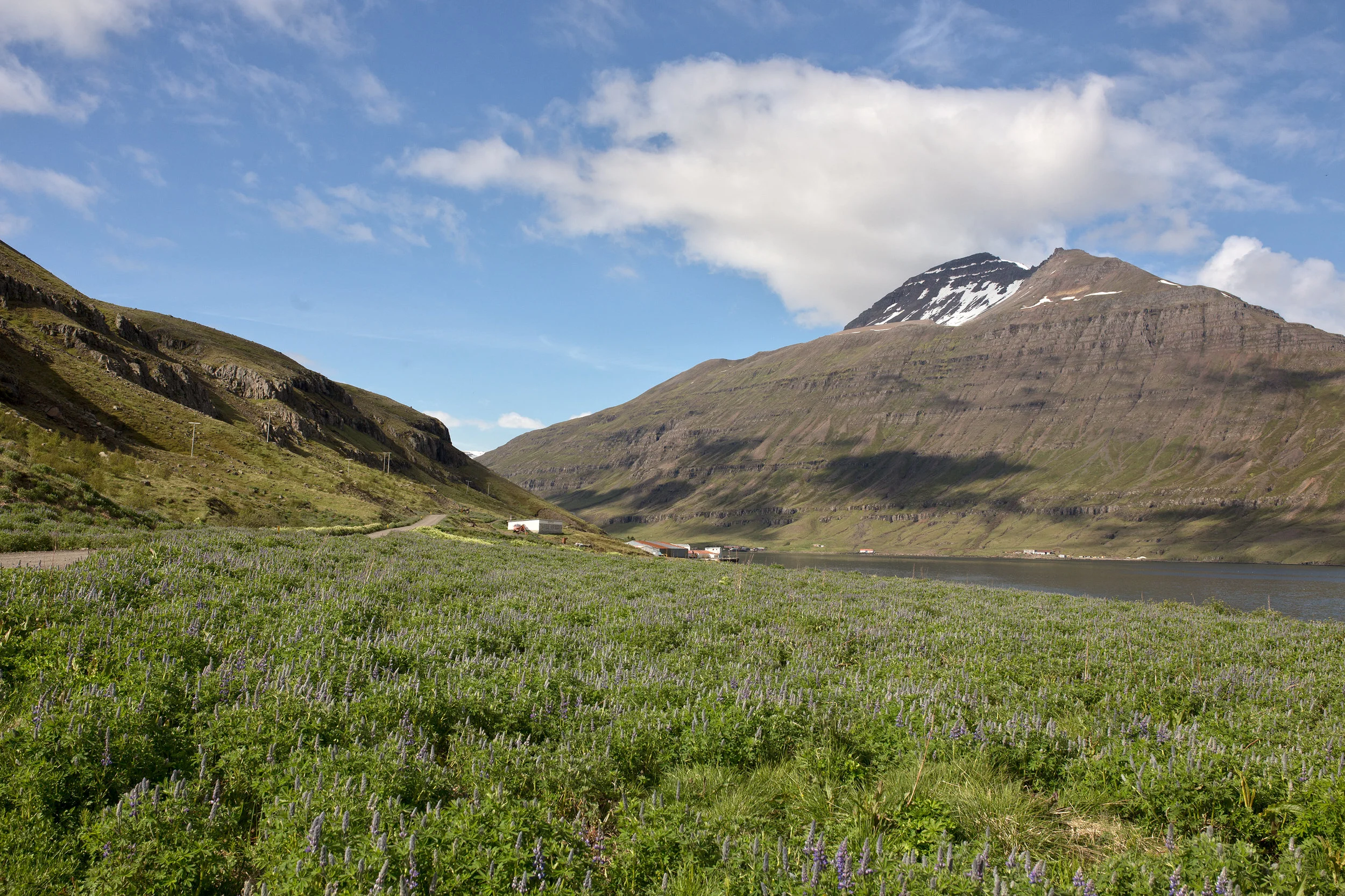seyðisfjörður.jpg