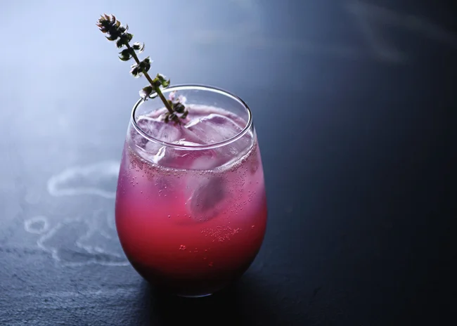BlueberryBasilVodkaGimlet5.jpg