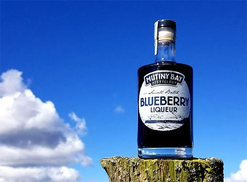 blueberry_nature.jpg