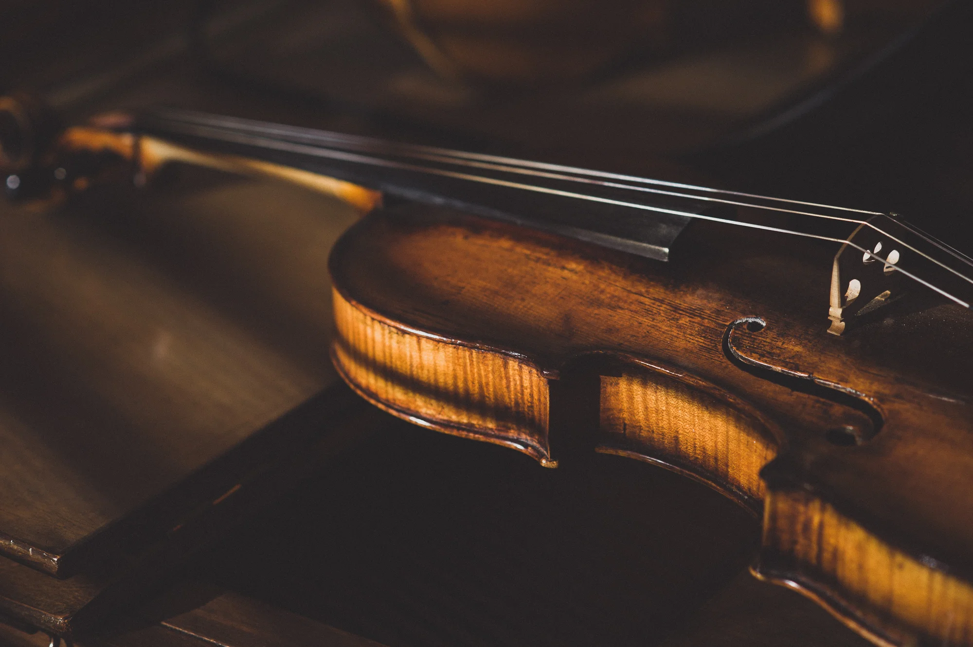 C-Strings-FinalSelection-60.jpg