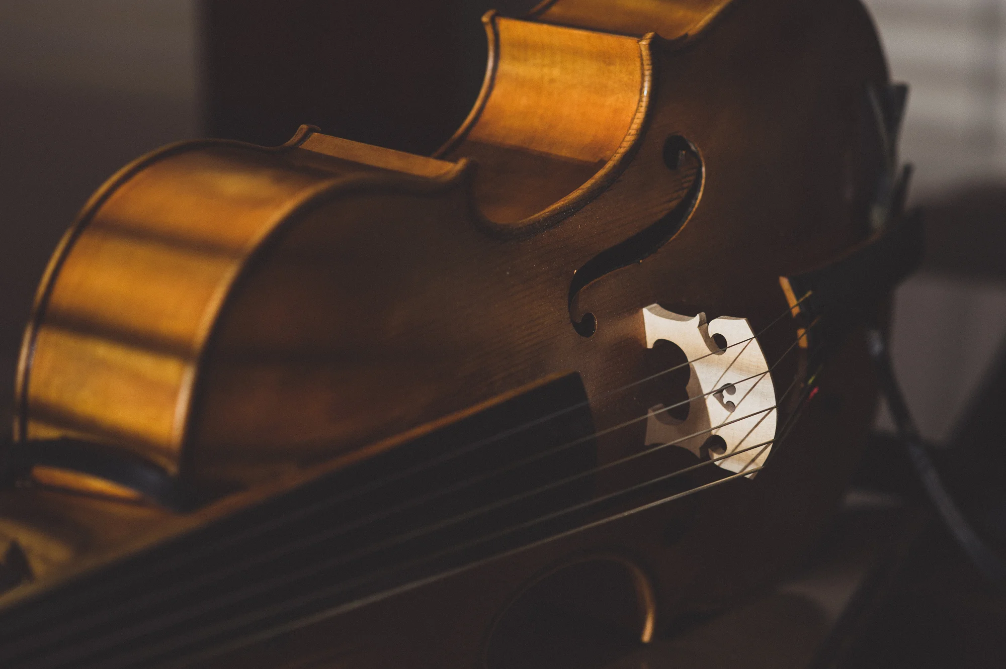 C-Strings-FinalSelection-62.jpg