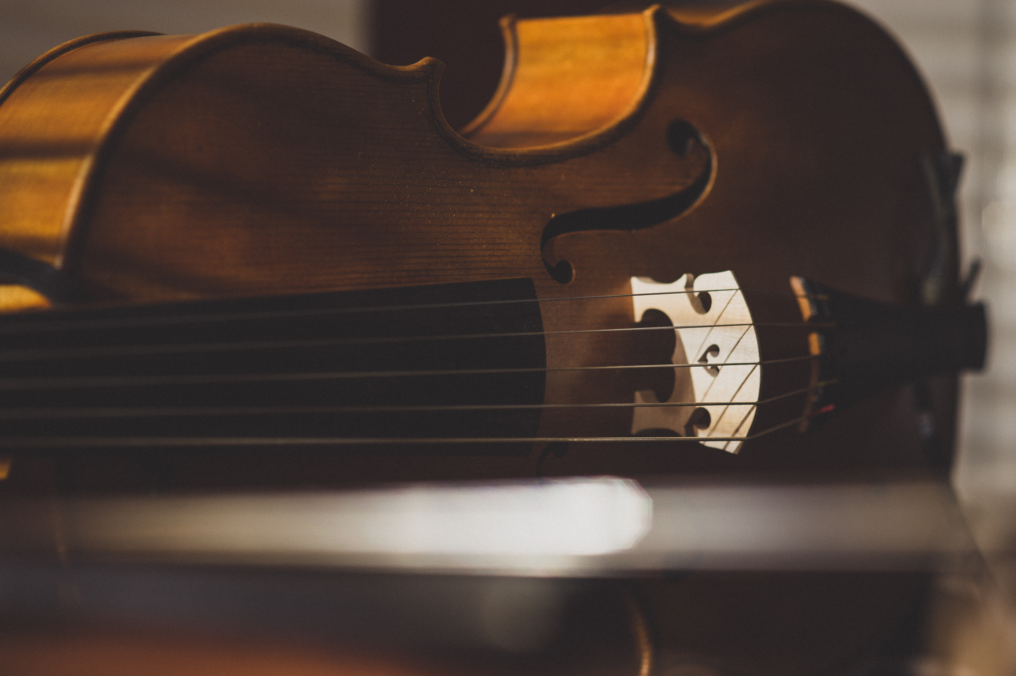C-Strings-FinalSelection-63.jpg