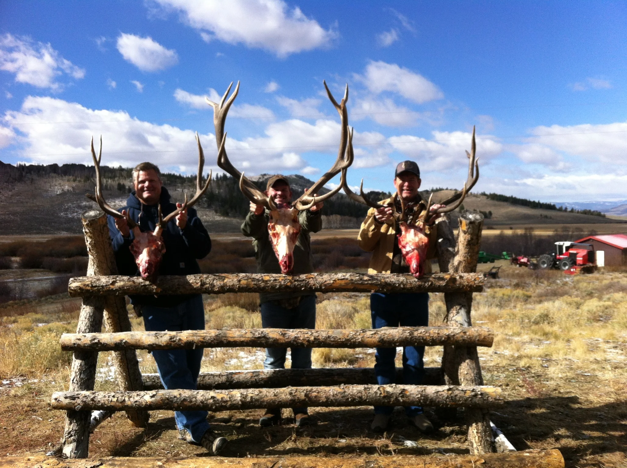 3 antler heads.JPG