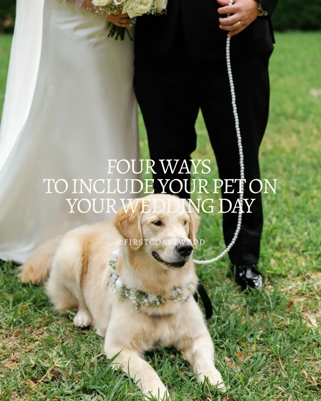 Your pet is part of your love story, so why not include them in your wedding day?! Whether they walk down the aisle, appear in portraits, or inspire a custom detail, there are so many thoughtful ways to include them in the celebration. 

For more hel