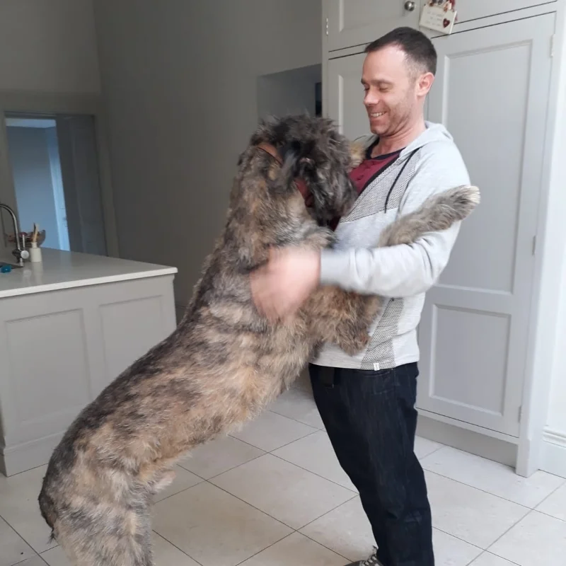 Finn the Dog.jpg