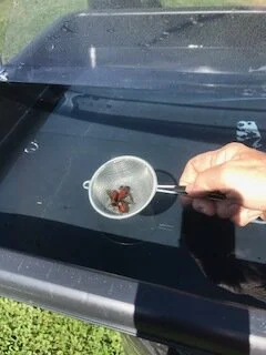 Clean the catcher daily.