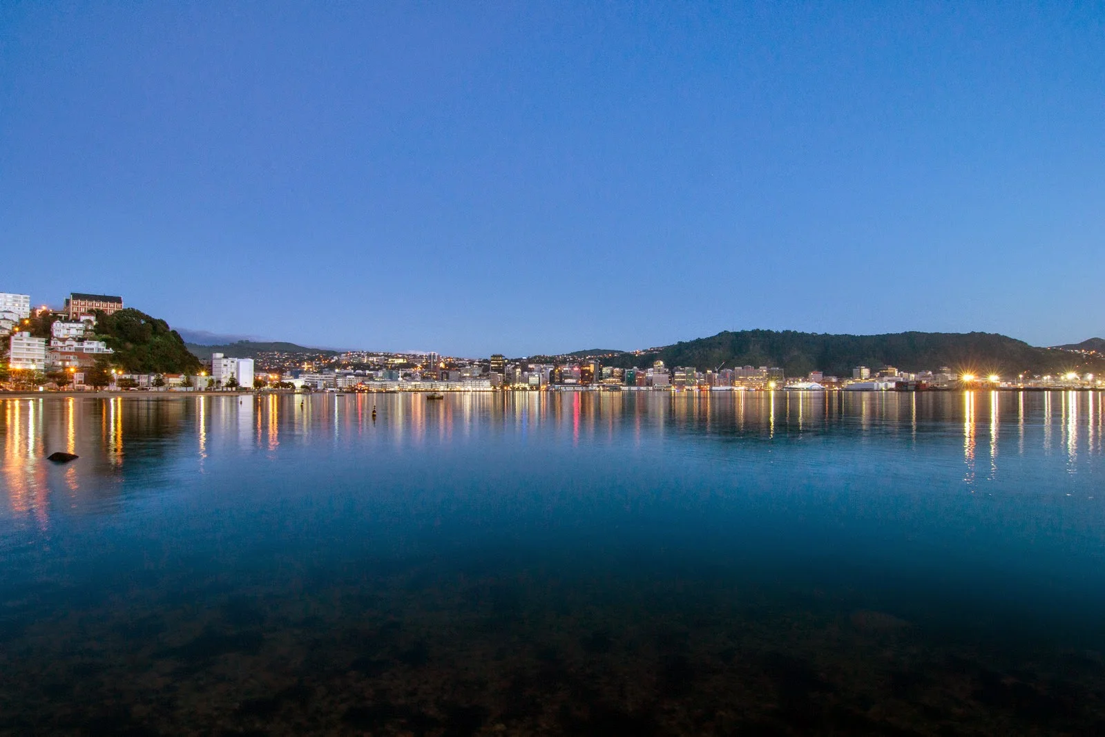 wellington city at dawn.jpg