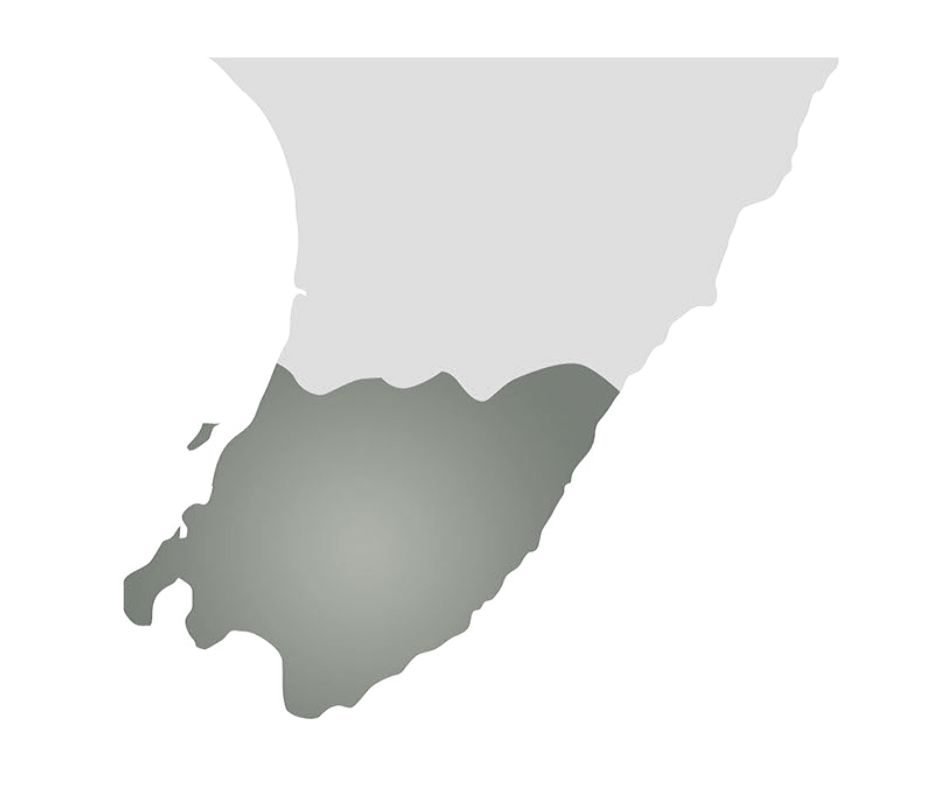 Untitled design-3.png