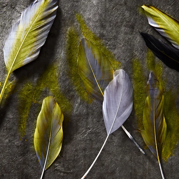 Melanie Haroldson, Storyteller and Kindred Creative