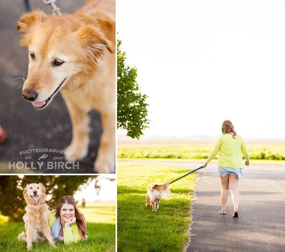 dog session at Porter Park in Southwest Champaign