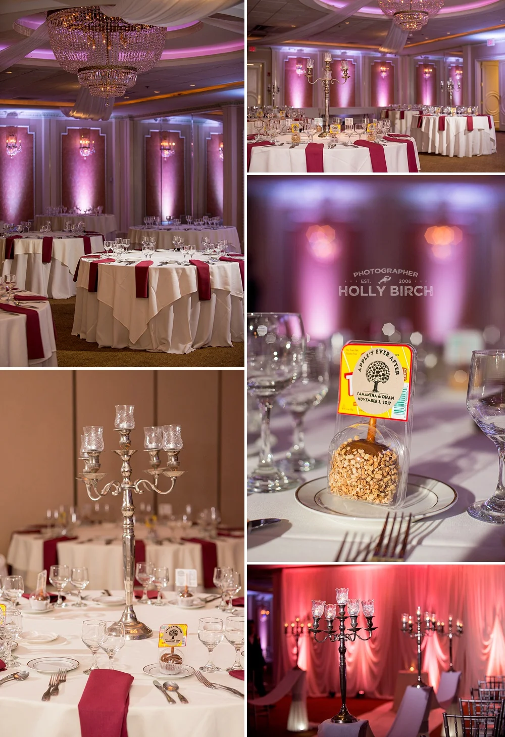 Buffalo-Grove-IL-Chicago-suburbs-wedding-Astoria-ballroom_3047.jpg