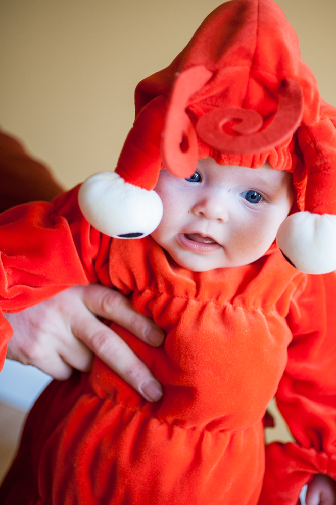 6 month Carter's lobster costume