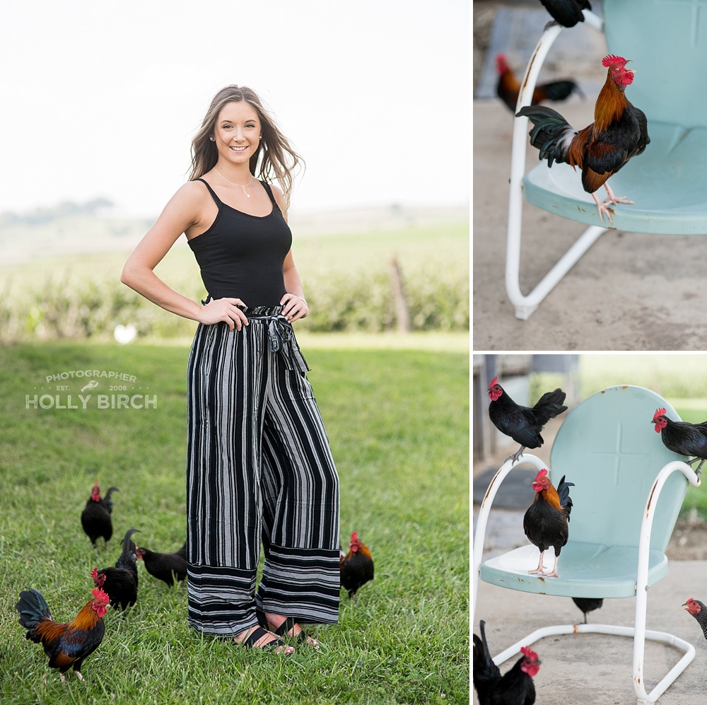 senior session with chickens