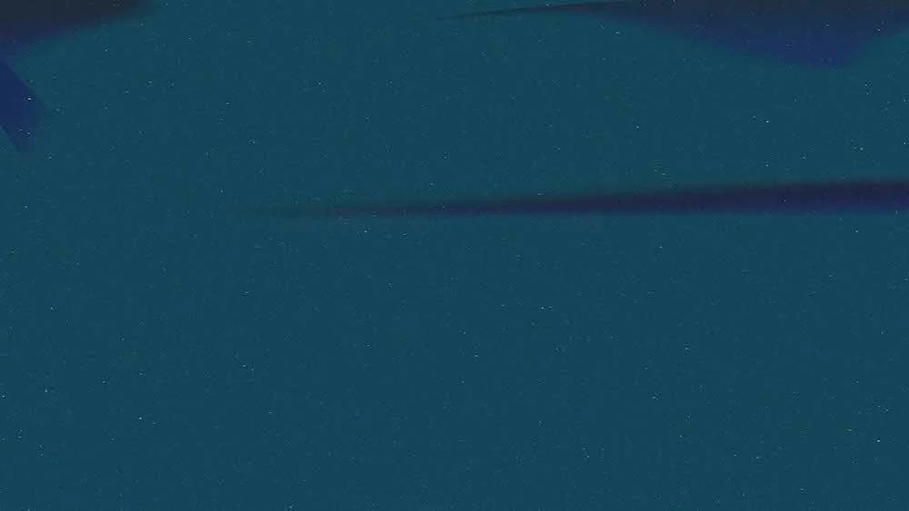 VerticalSolid_Navy.jpg