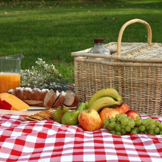 Picnic image.jpg