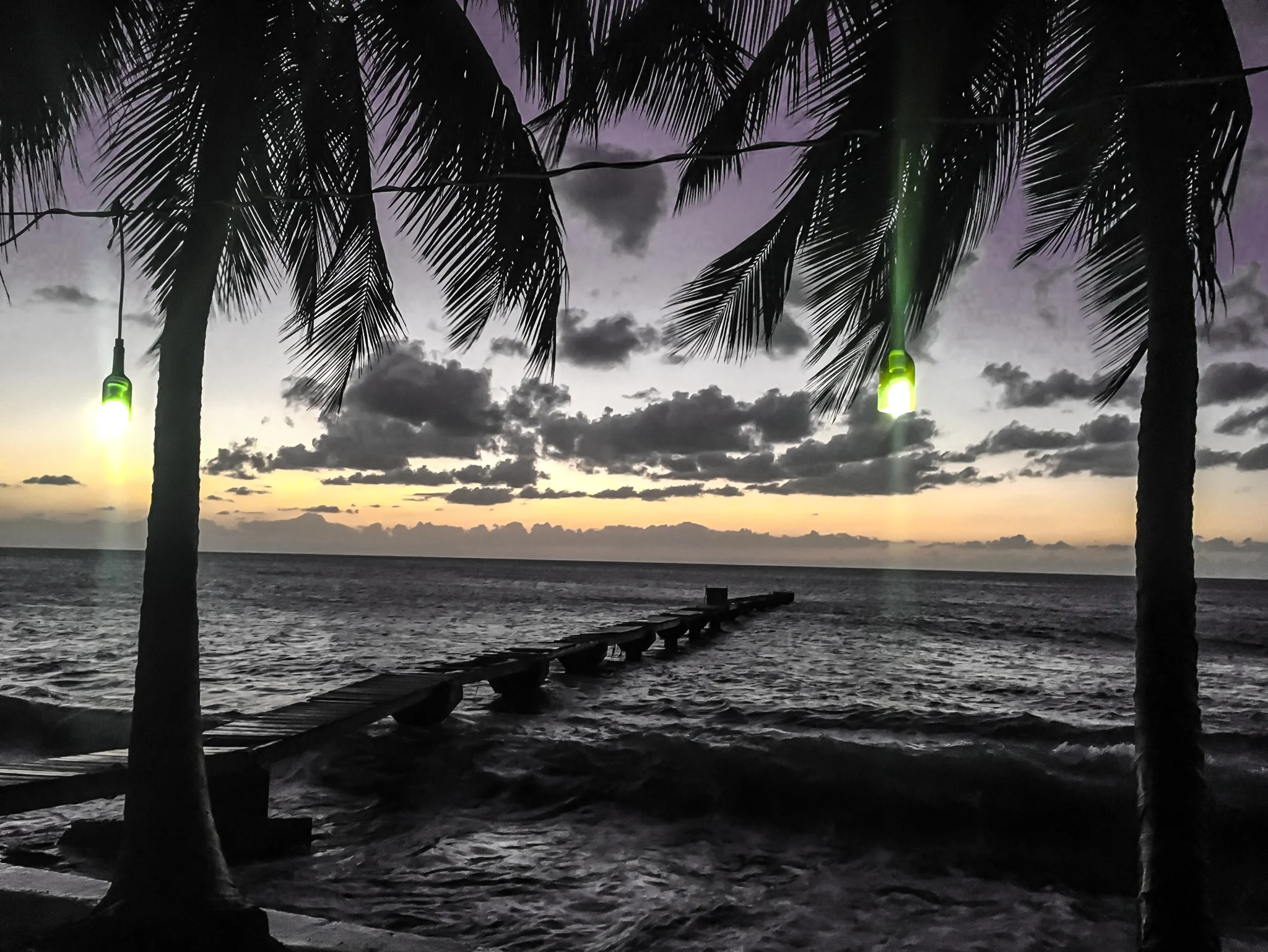 Caribbean Nights.jpg