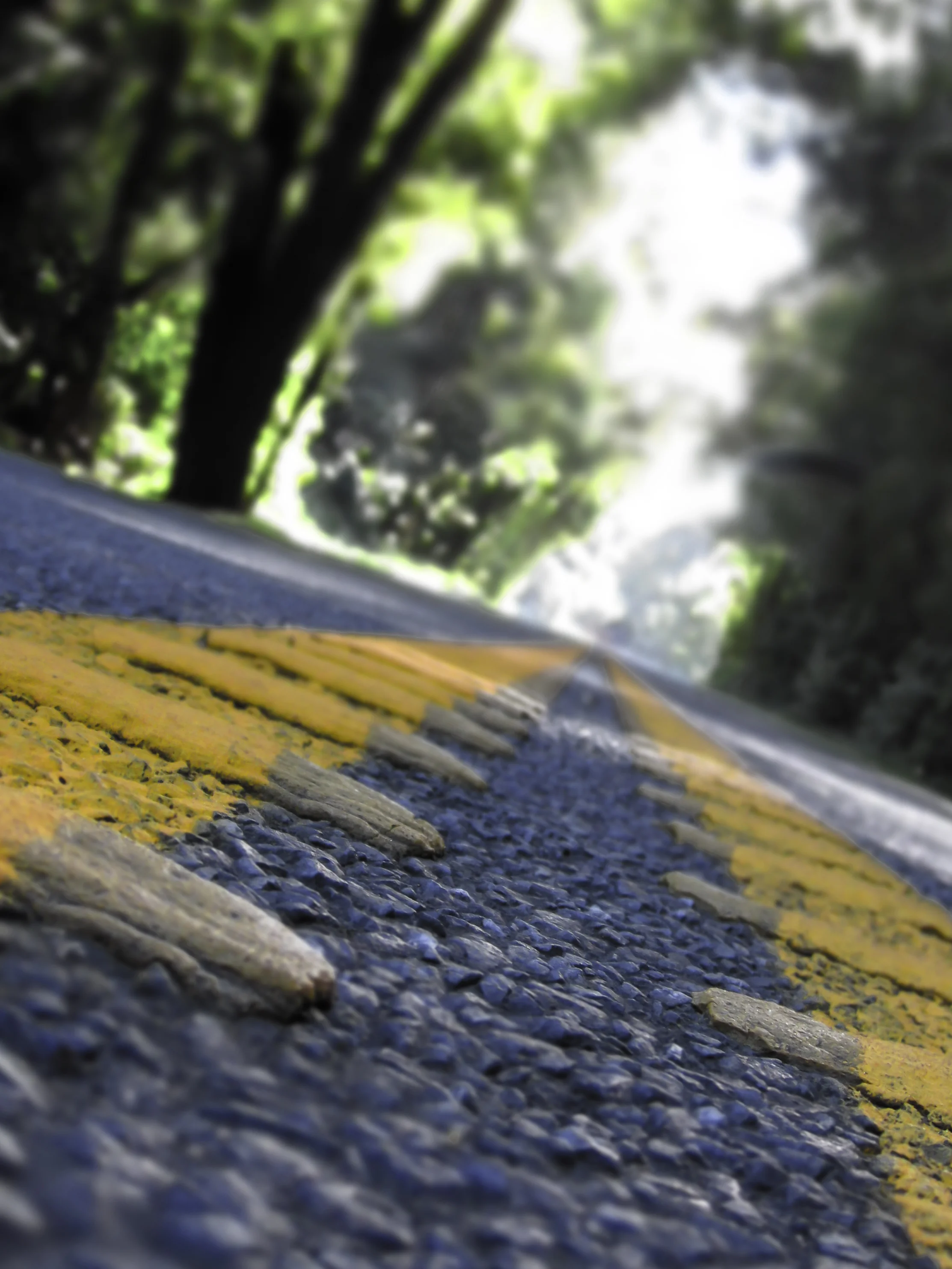 2 Yellow lines.jpg