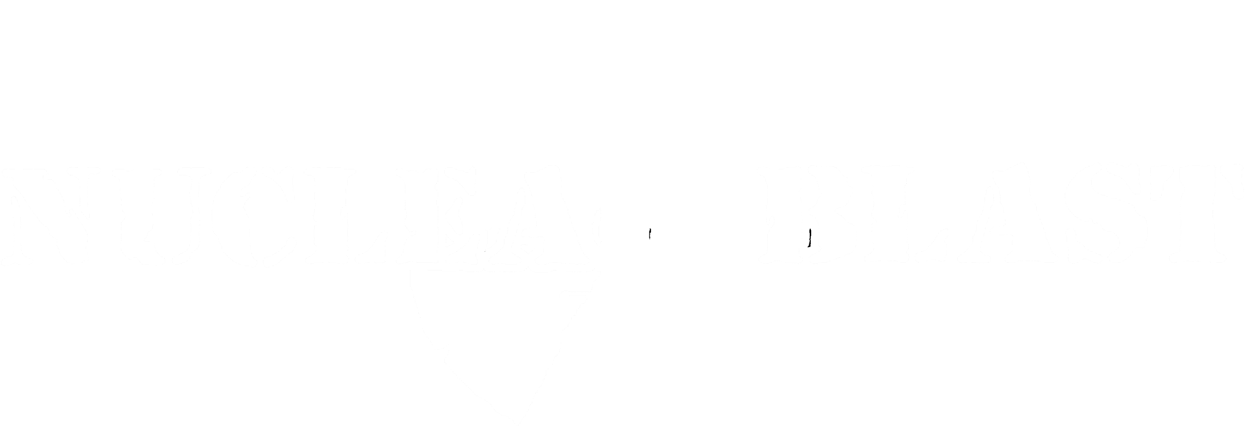 NB_Logo_WHITE2.png