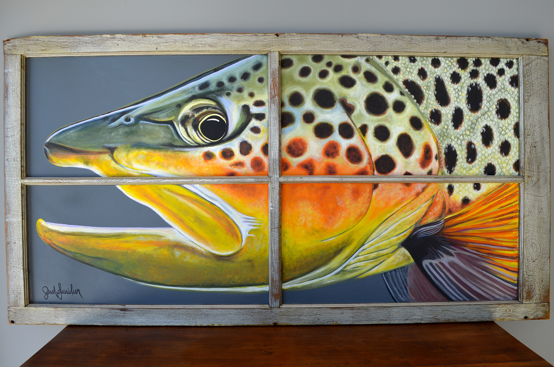 Brown Trout head on window.jpg