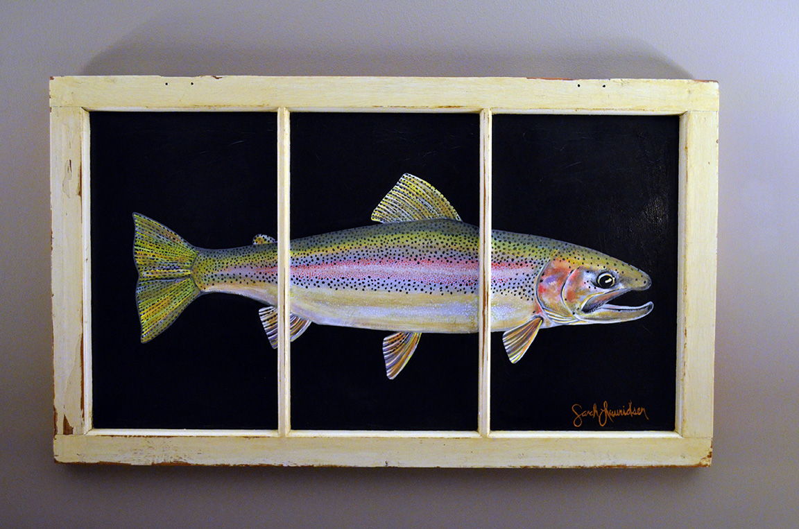 Steelhead Adrian window smaller.jpg