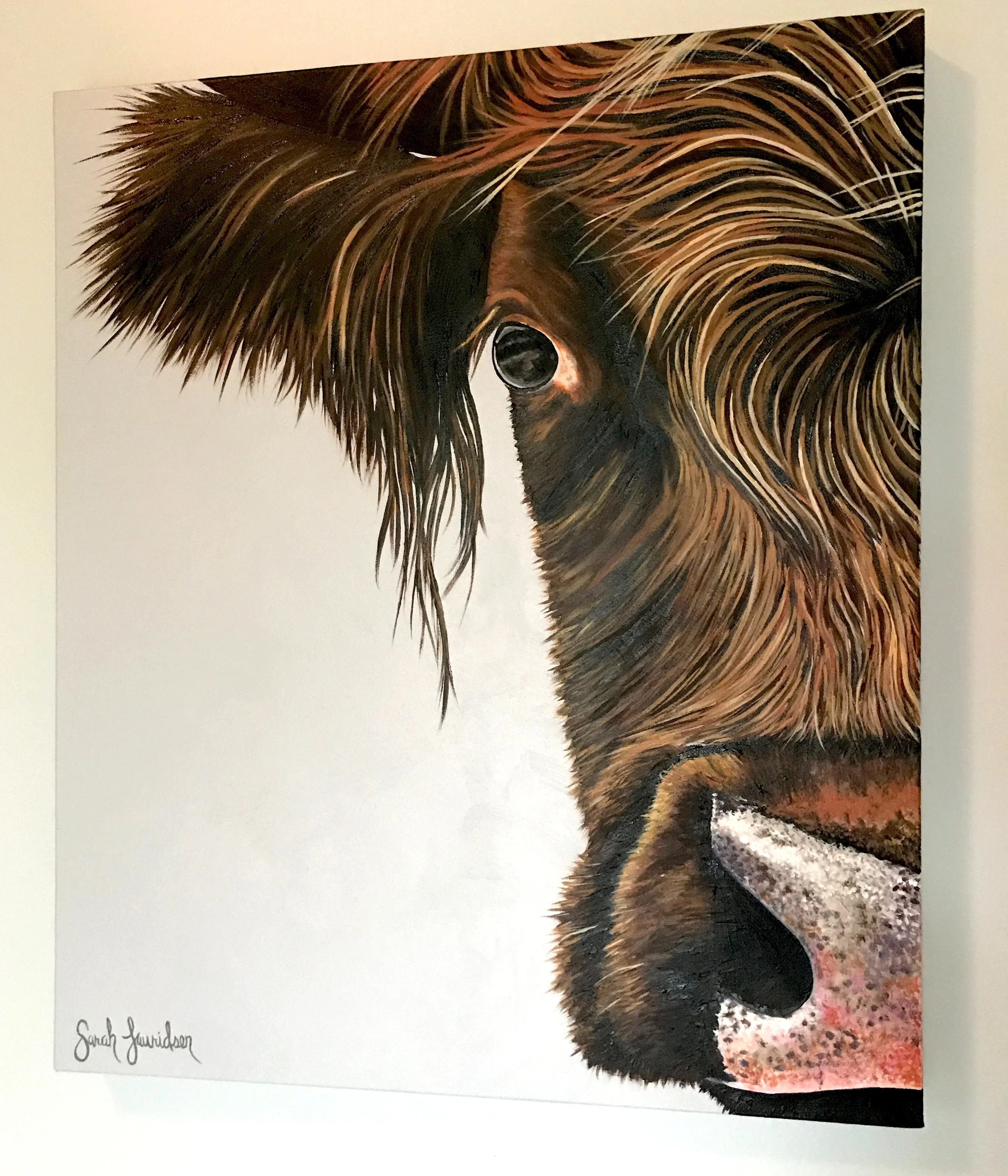 Highlander on Grey, 30" x 24". Sold.