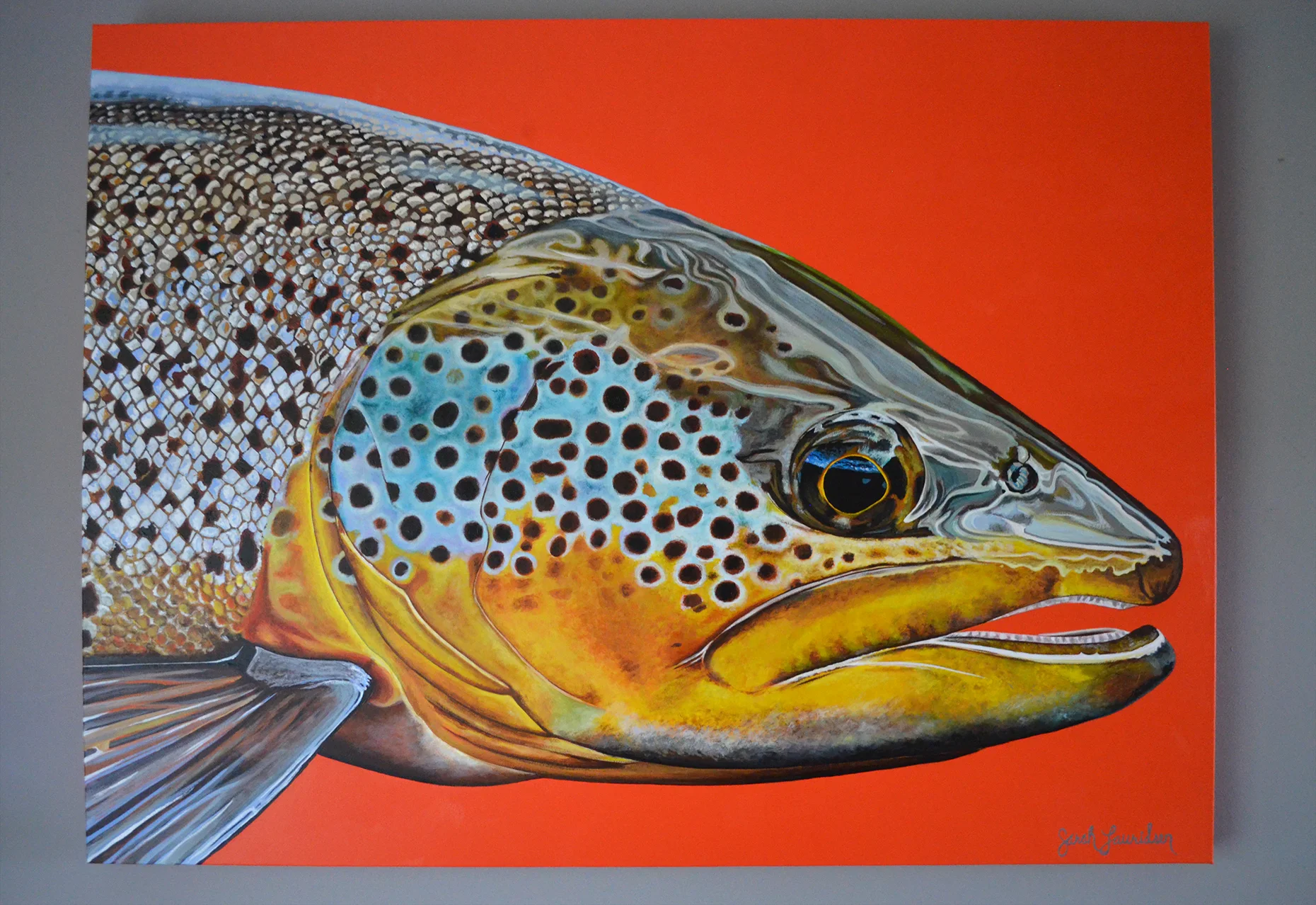 Big Brown Trout Head, 40" x 30" Available.