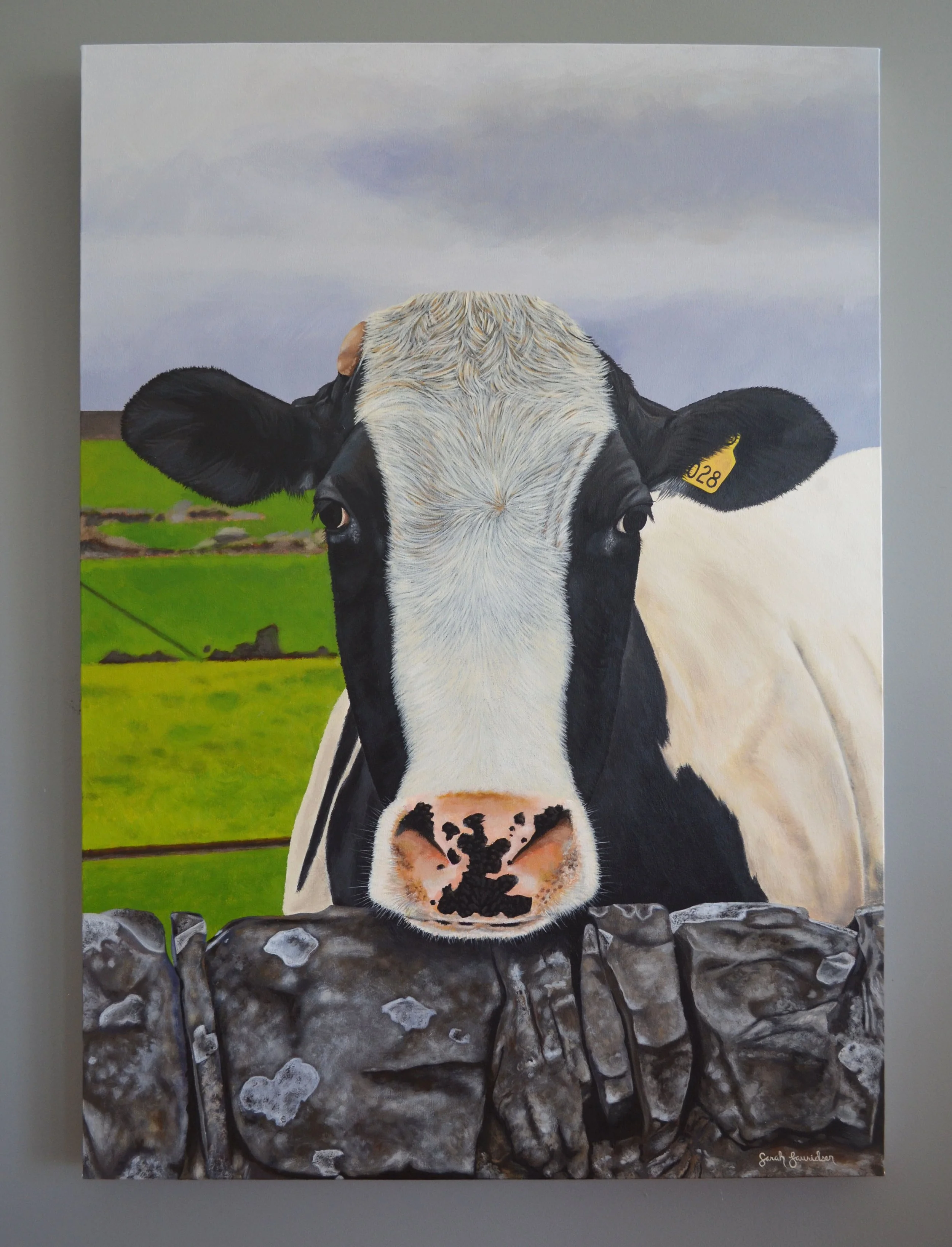 Cow at the wall. 43" x 30". Available.