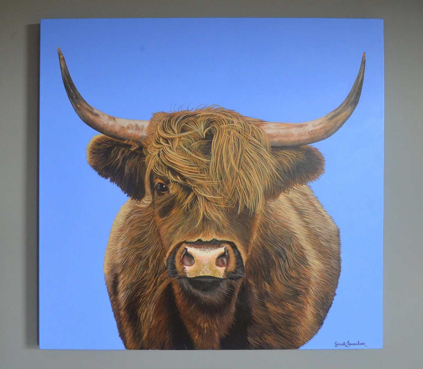 Cow on Blue, Commission. 36" x 36".