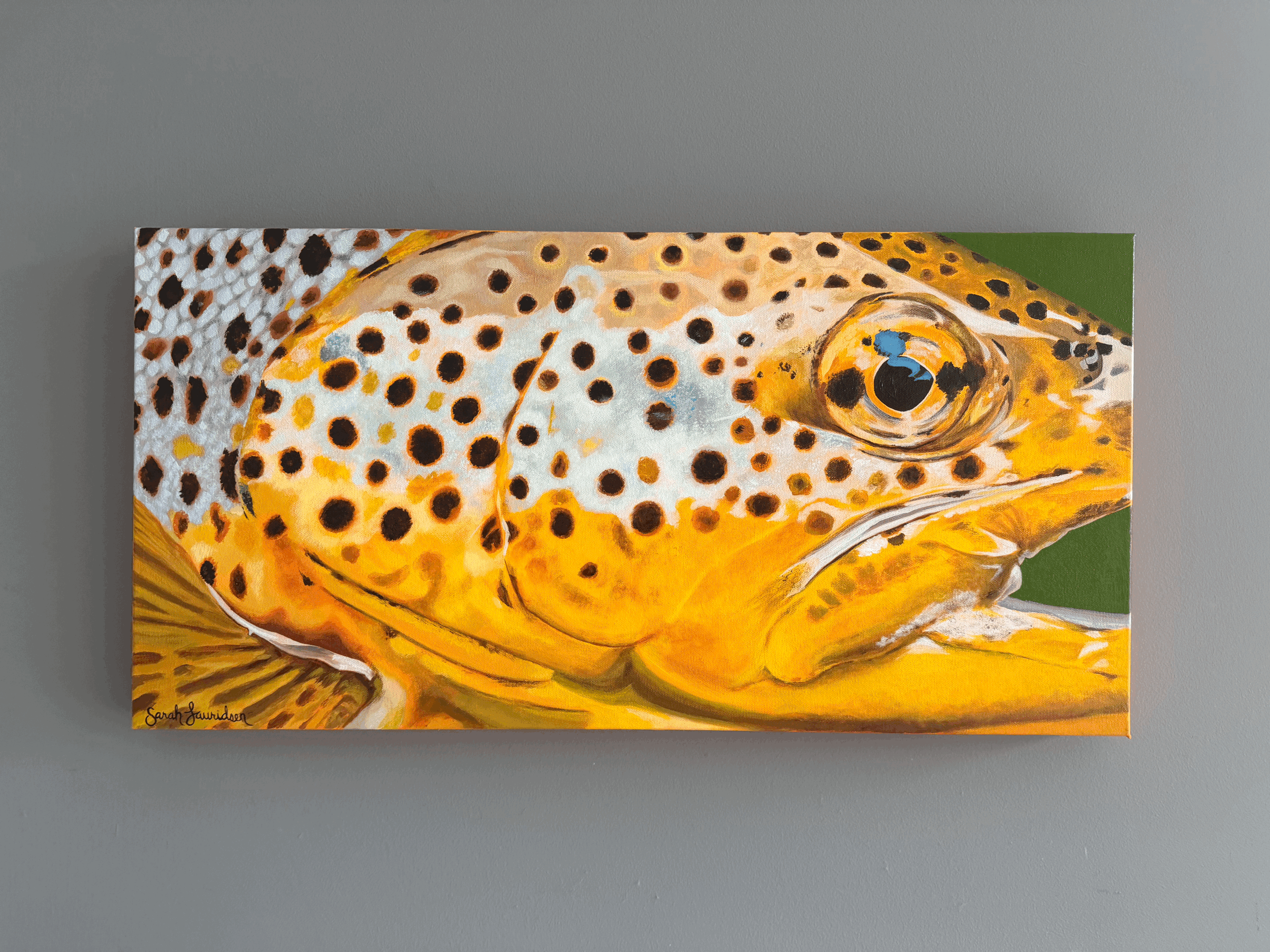 Brown Trout Check, Commission. 30" x 15"