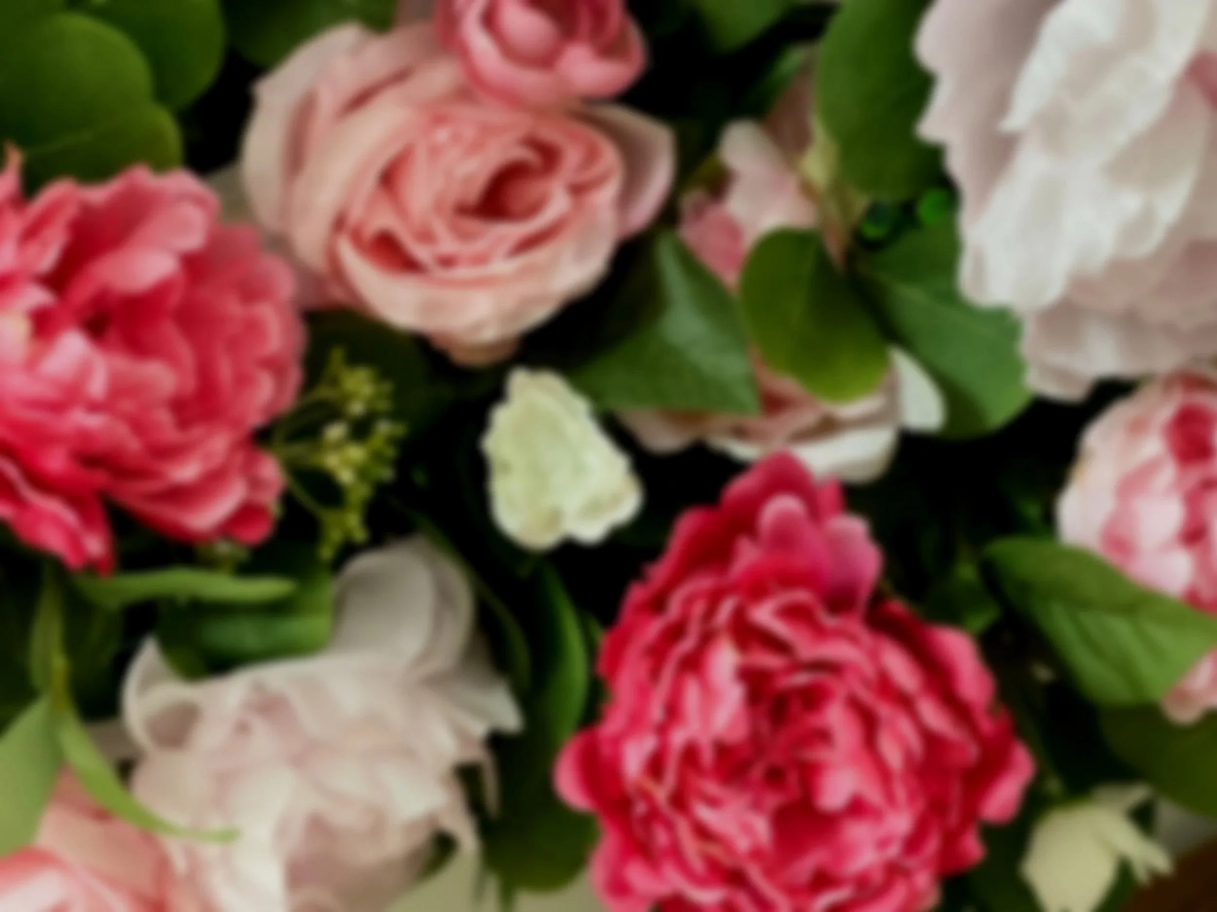 Flower Banner Pic.jpg