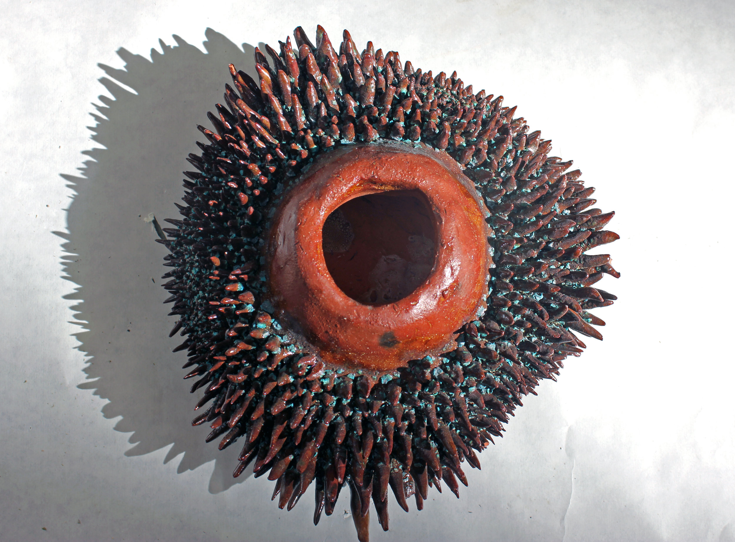 porcupine1.jpg