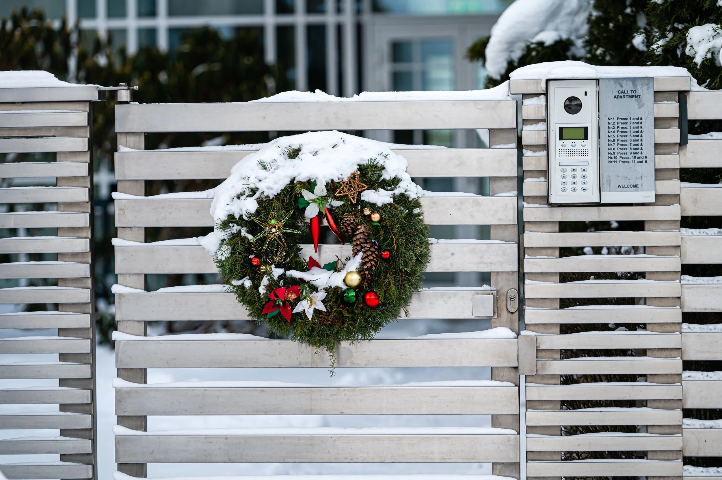 Christmas Boundaries: How to Keep Your Peace When Your Family Loses Theirs