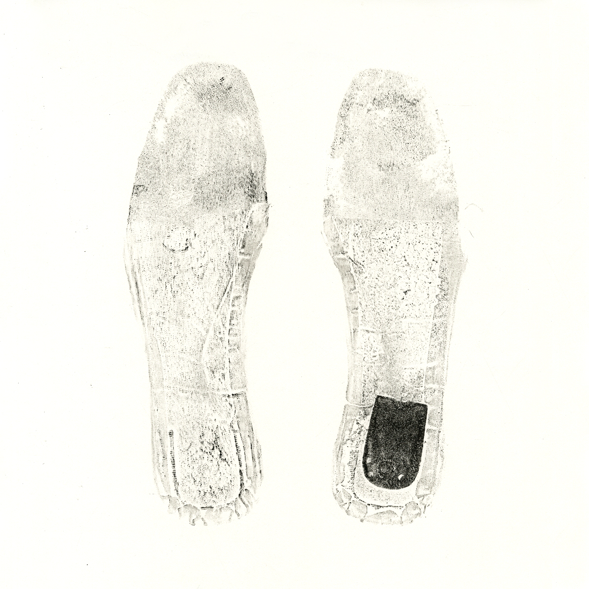 soles012.jpg