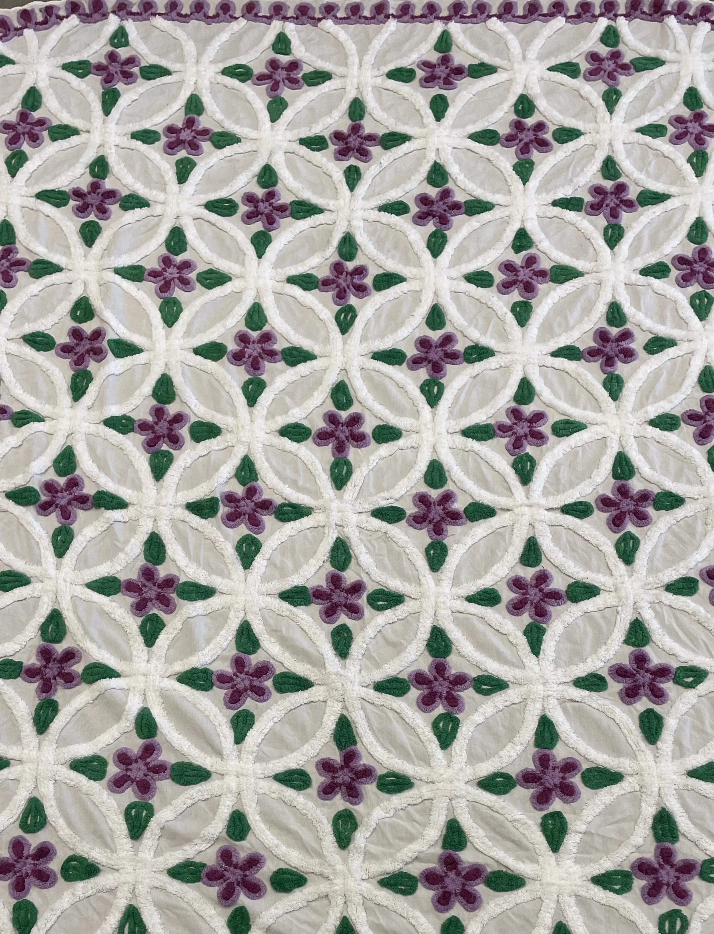 Photo Jan 12 2026, 1 37 15 PM.jpg