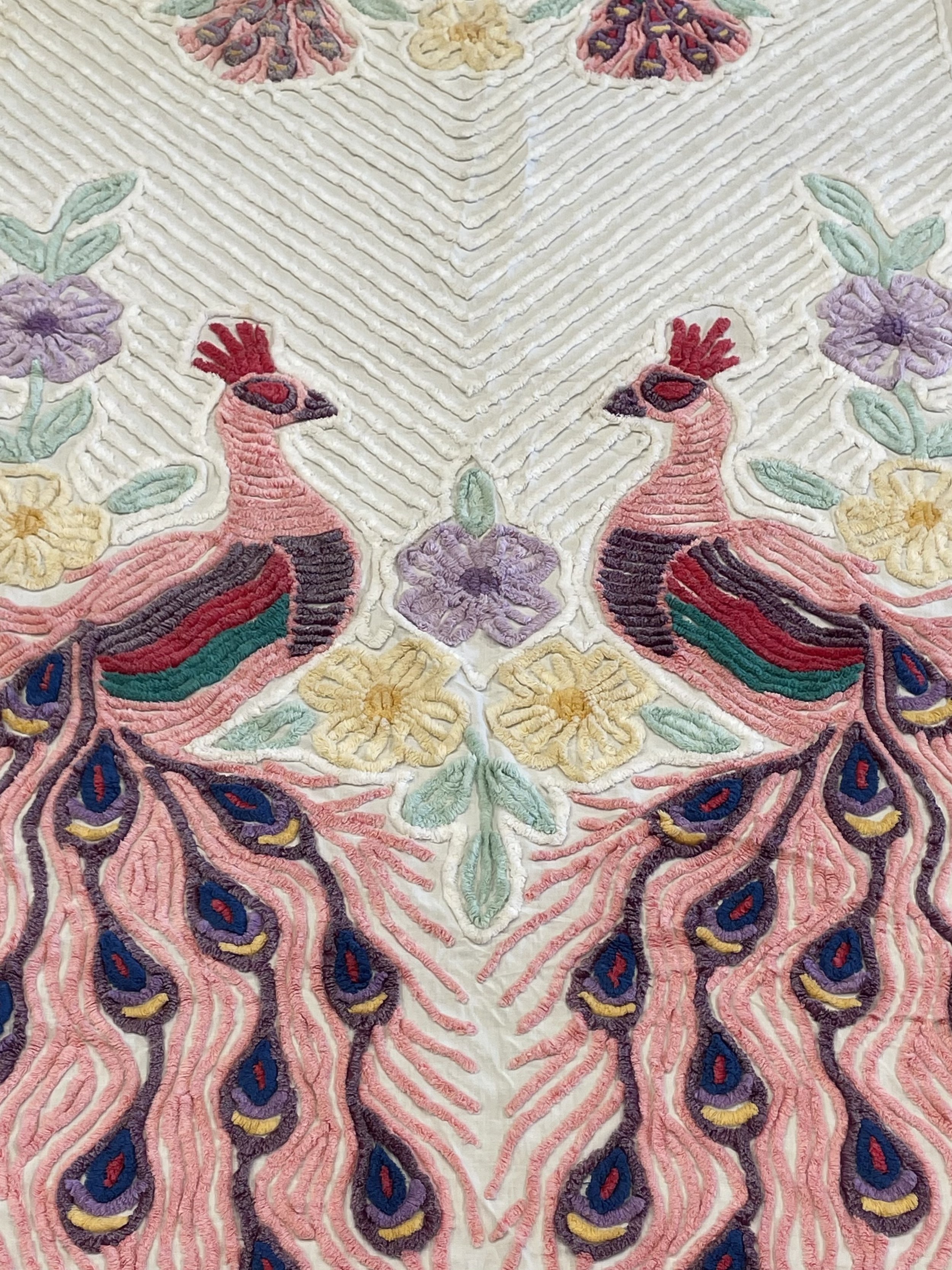 Photo Jan 12 2026, 1 43 04 PM.jpg