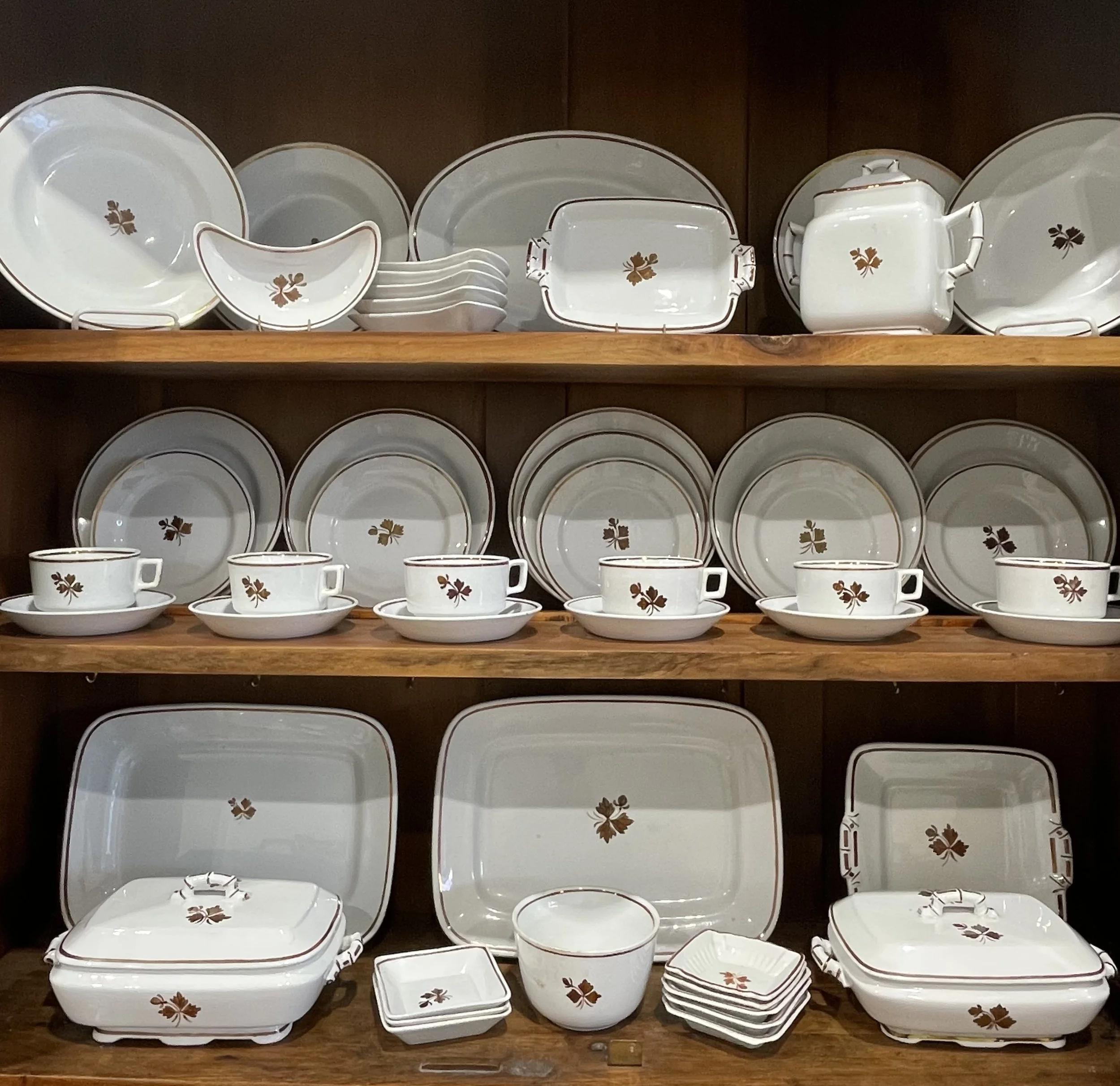 Photo Jan 17 2026, 3 28 00 PM.jpg