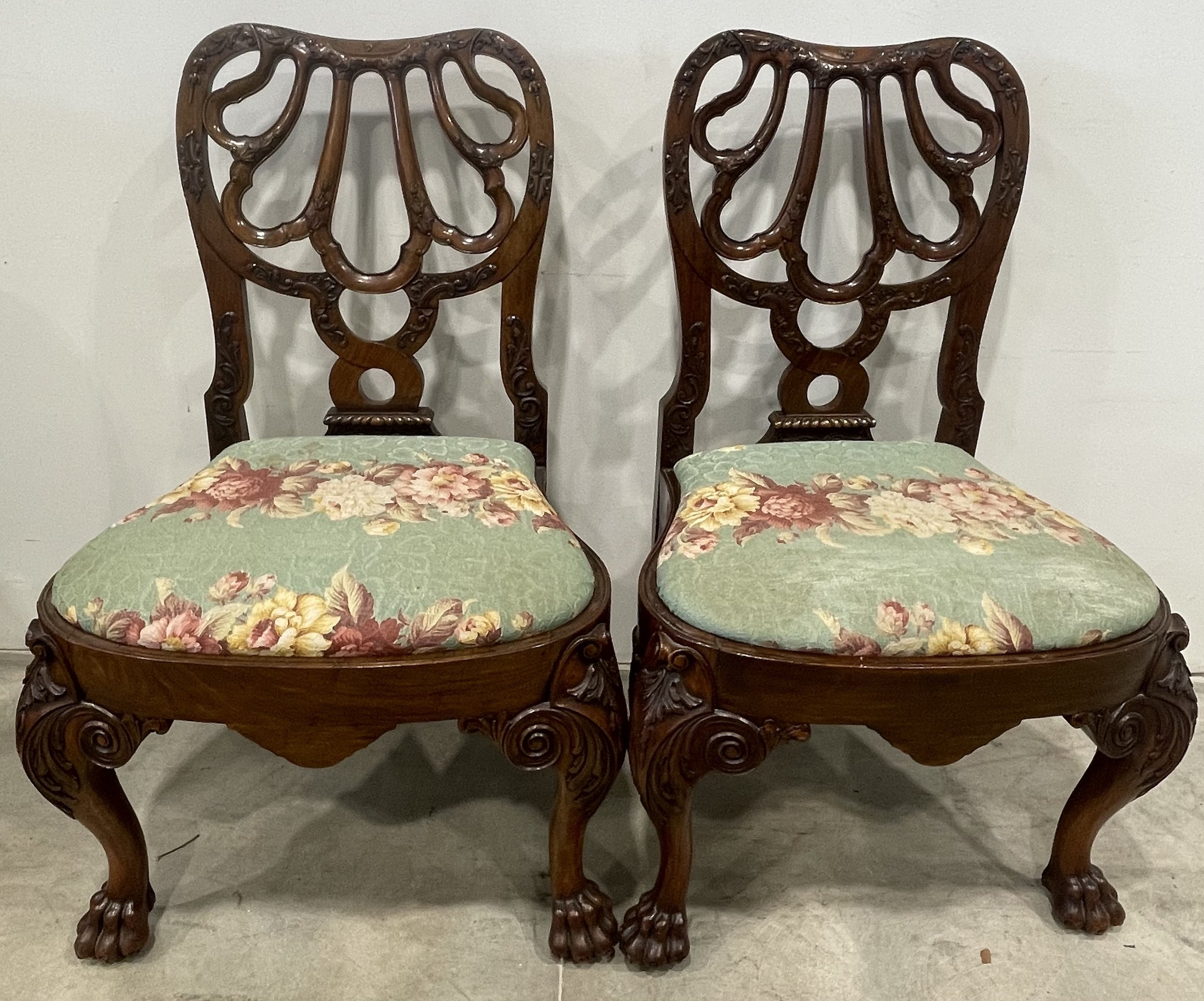 Photo Jan 19 2026, 1 00 19 PM.jpg