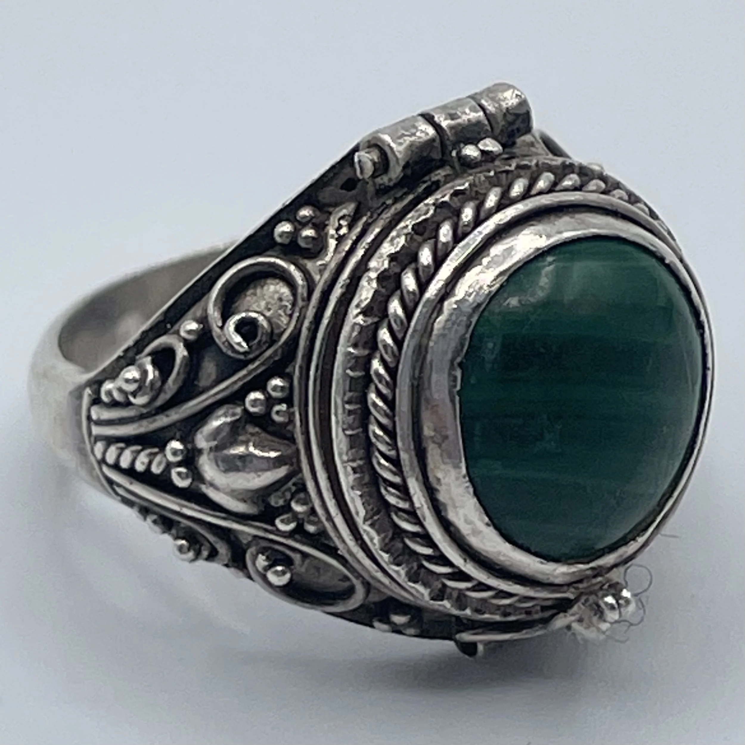 Photo Feb 15 2026, 8 05 51 AM.jpg