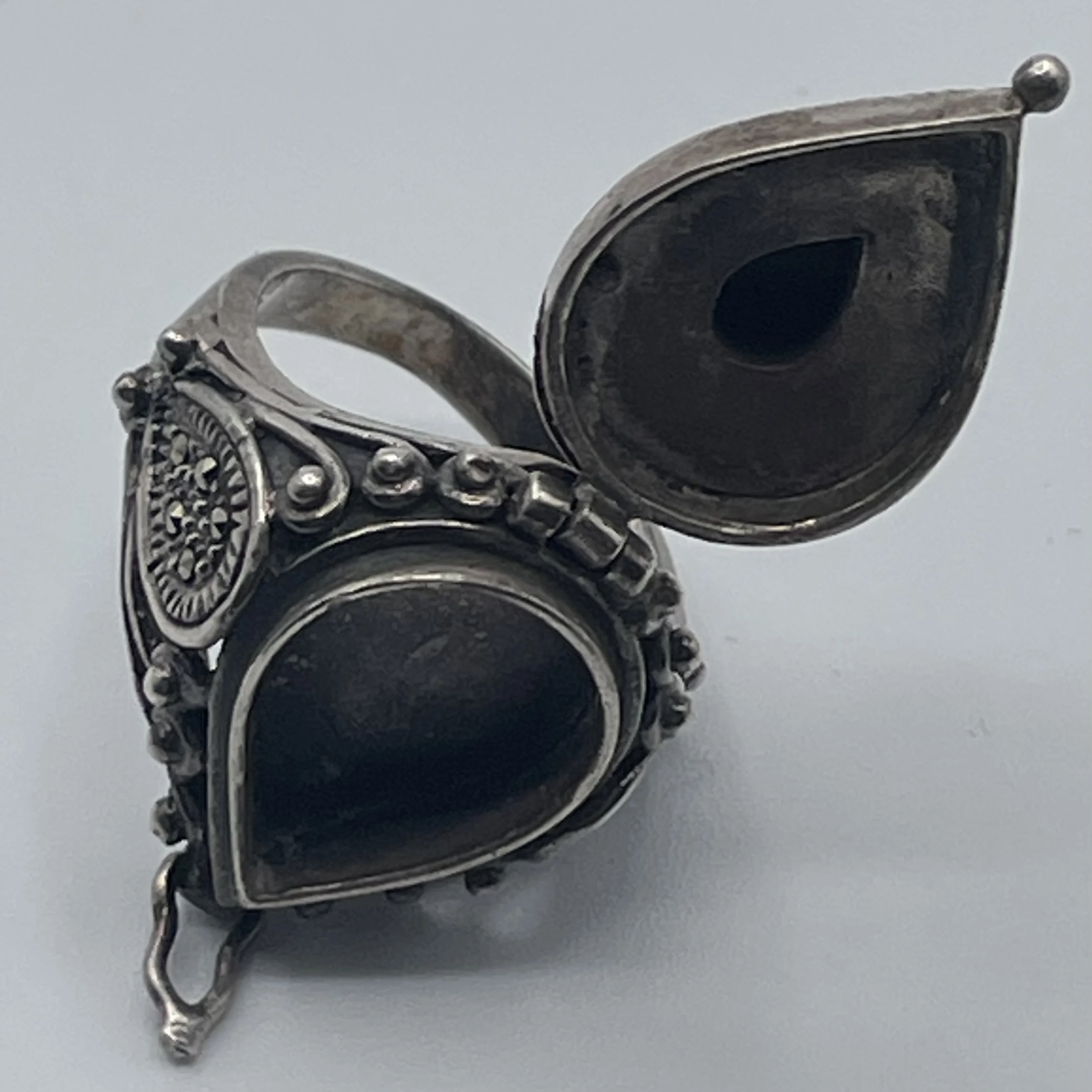 Photo Feb 15 2026, 9 24 34 AM.jpg