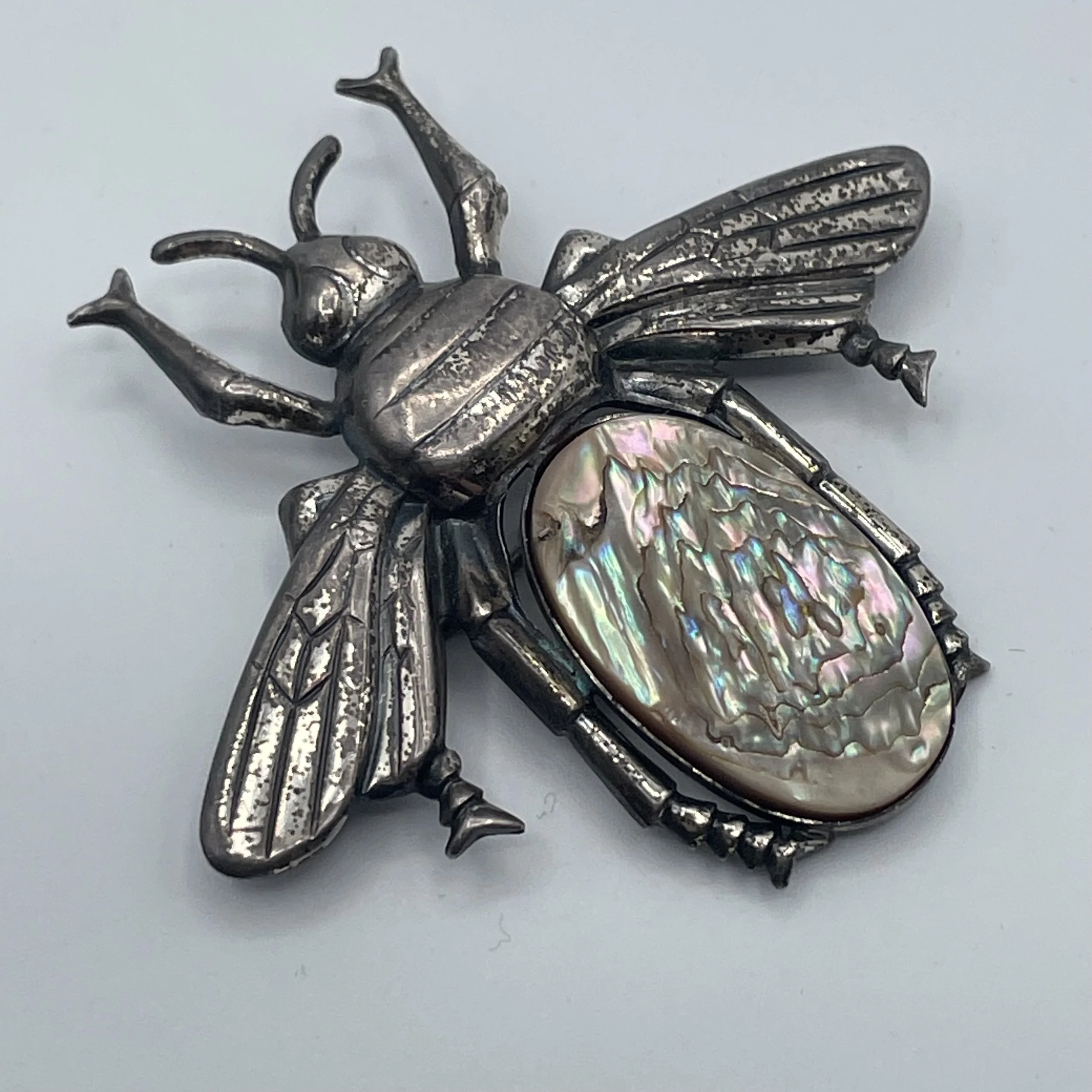 Photo Feb 15 2026, 9 37 25 AM.jpg