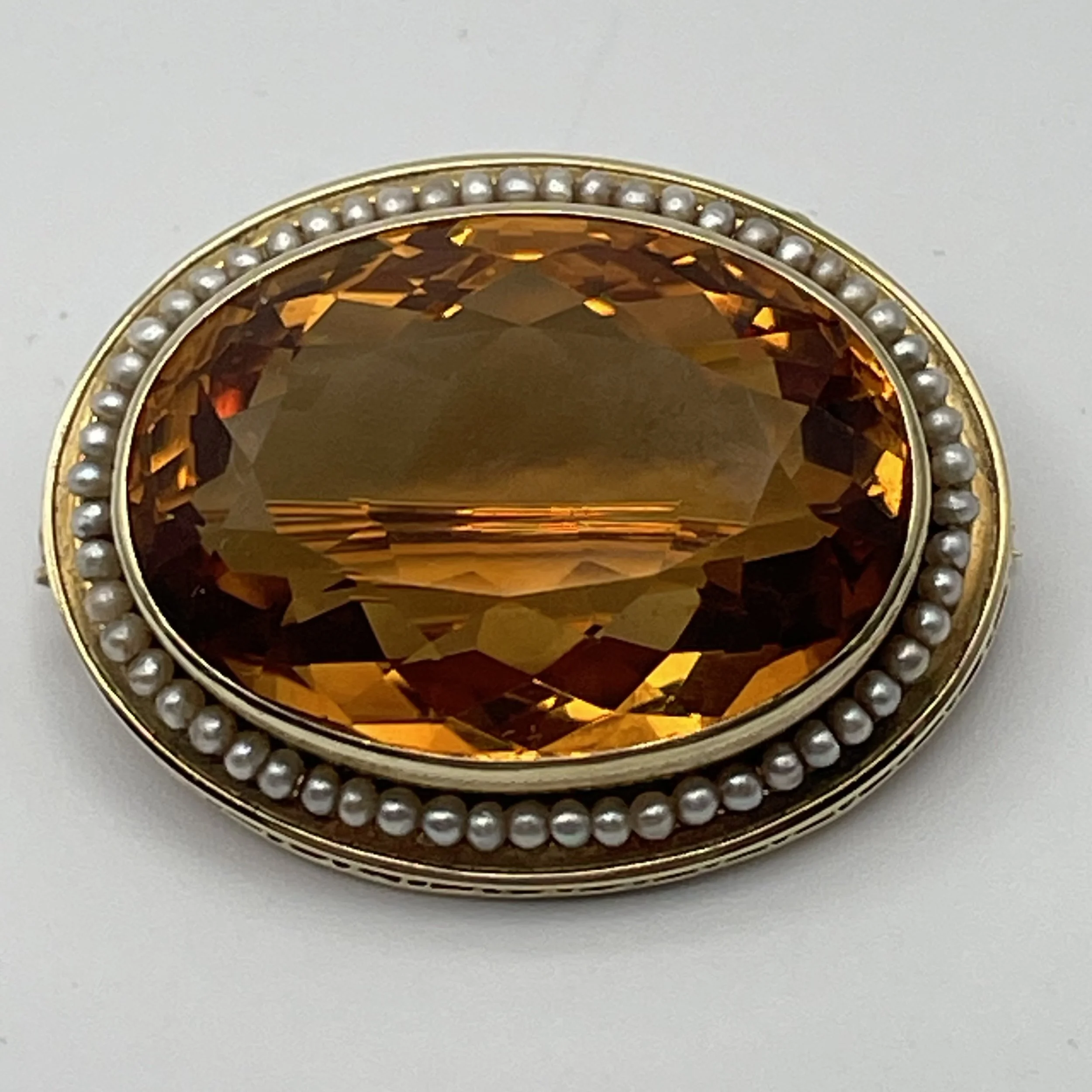 Photo Feb 21 2026, 8 00 23 AM.jpg