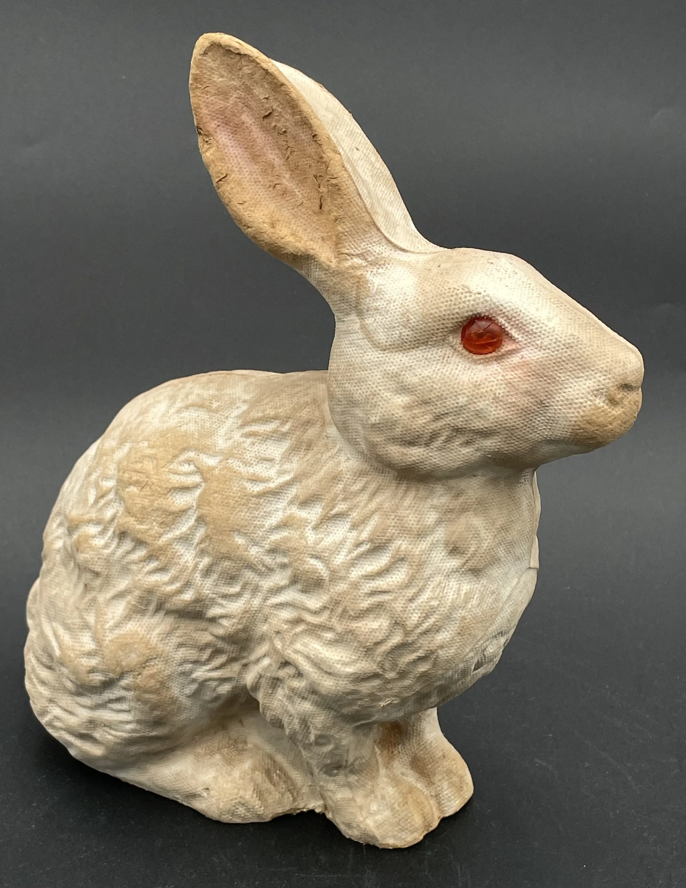 Photo Feb 17 2026, 5 18 13 PM.jpg