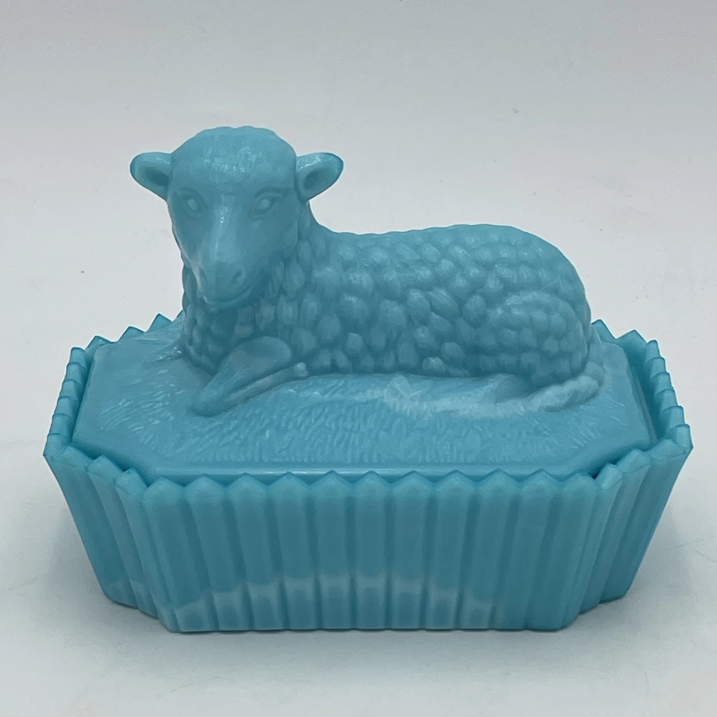 Photo Mar 16 2026, 12 00 05 PM.jpg