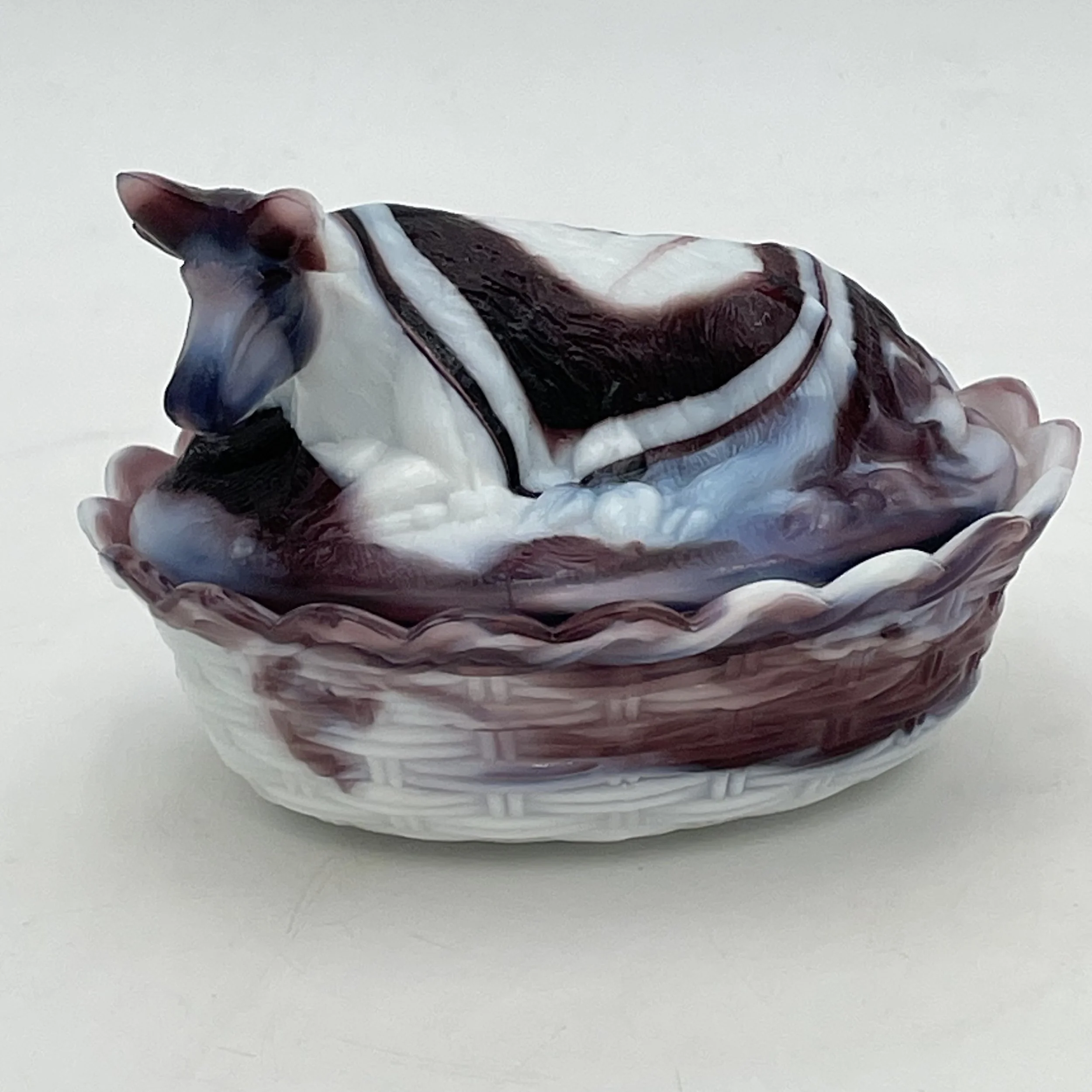 Photo Mar 16 2026, 12 28 52 PM.jpg