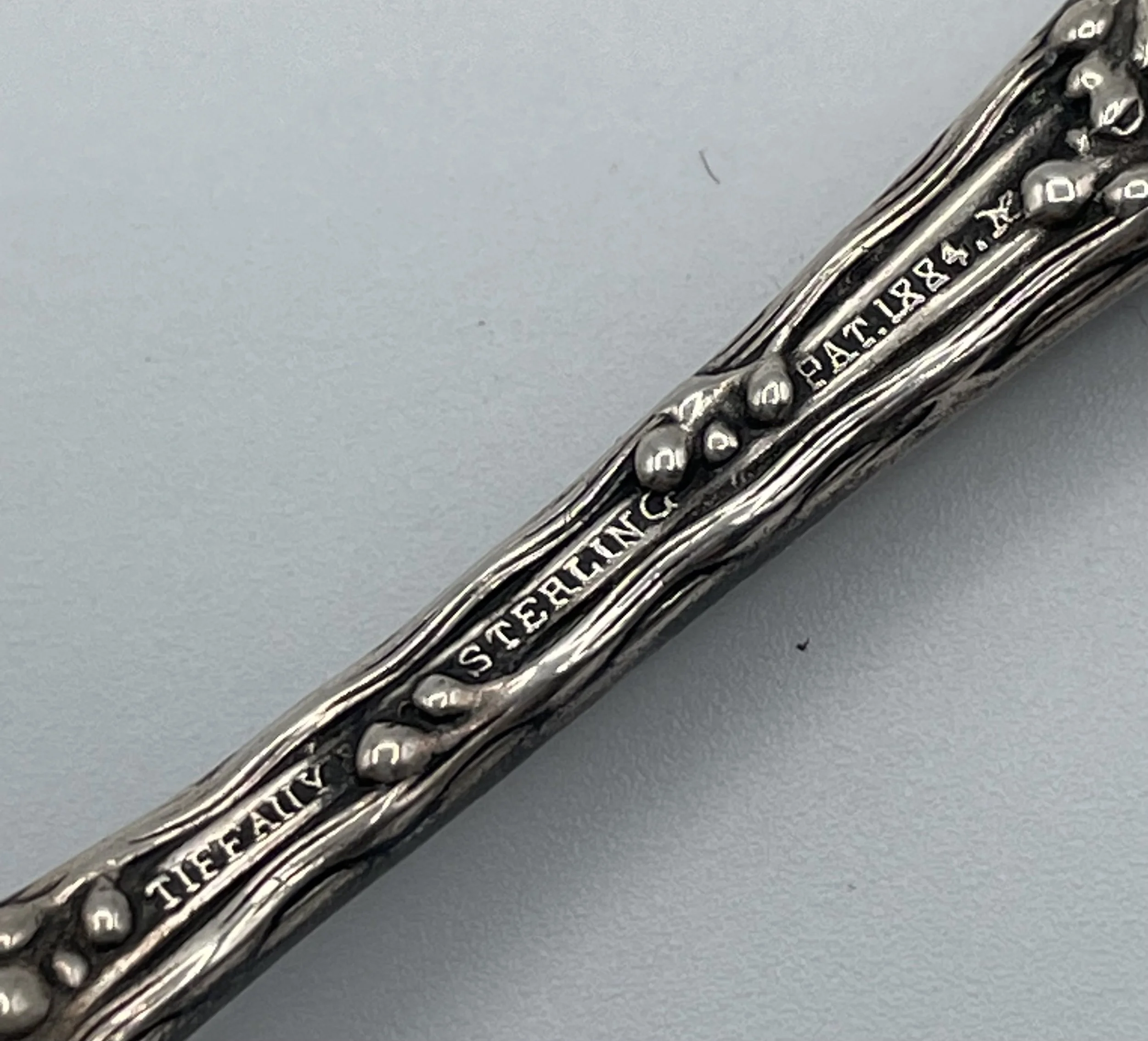 Photo Mar 17 2026, 9 00 53 PM.jpg