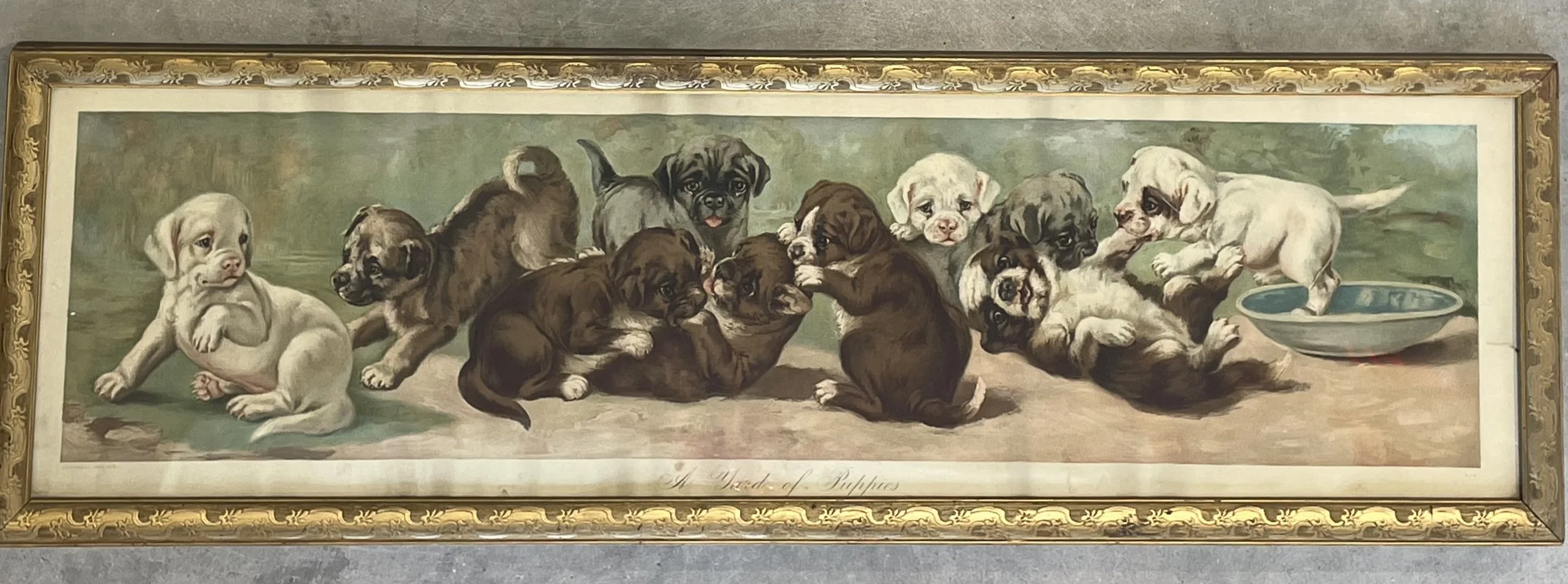 Photo Mar 25 2026, 5 02 19 PM.jpg