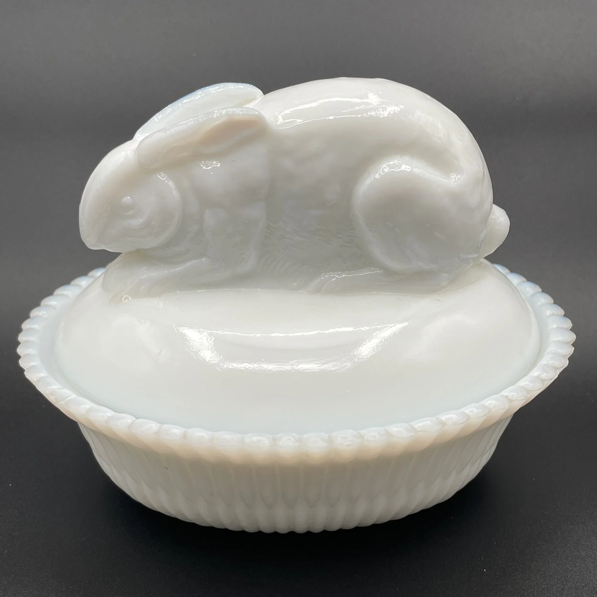 Photo Mar 26 2026, 9 04 24 AM.jpg