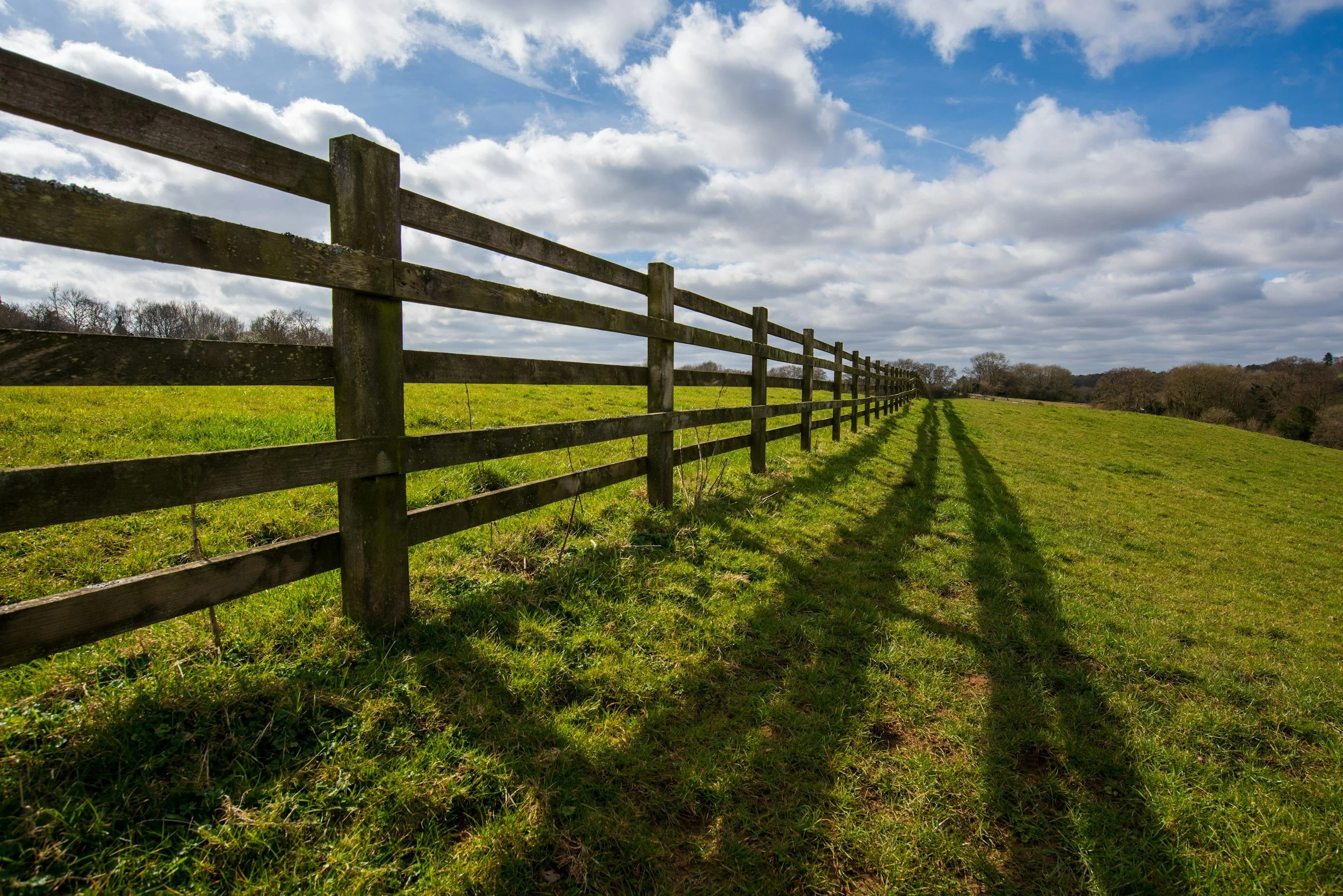 Horse fencing in a green field with trees in the distance.