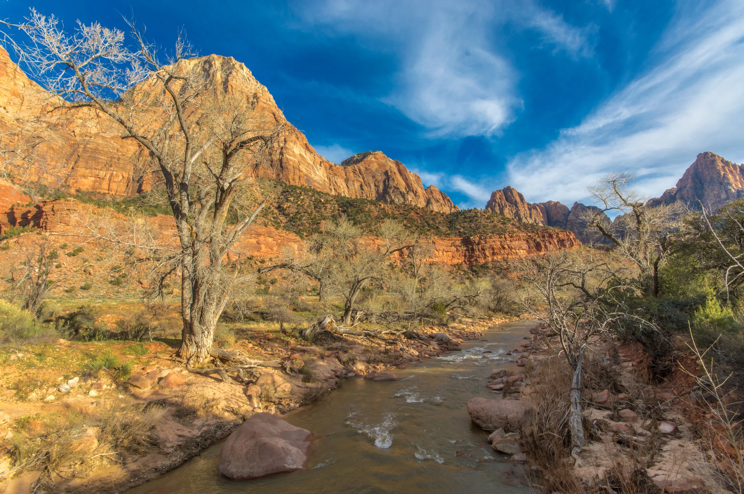 Canyon colors.