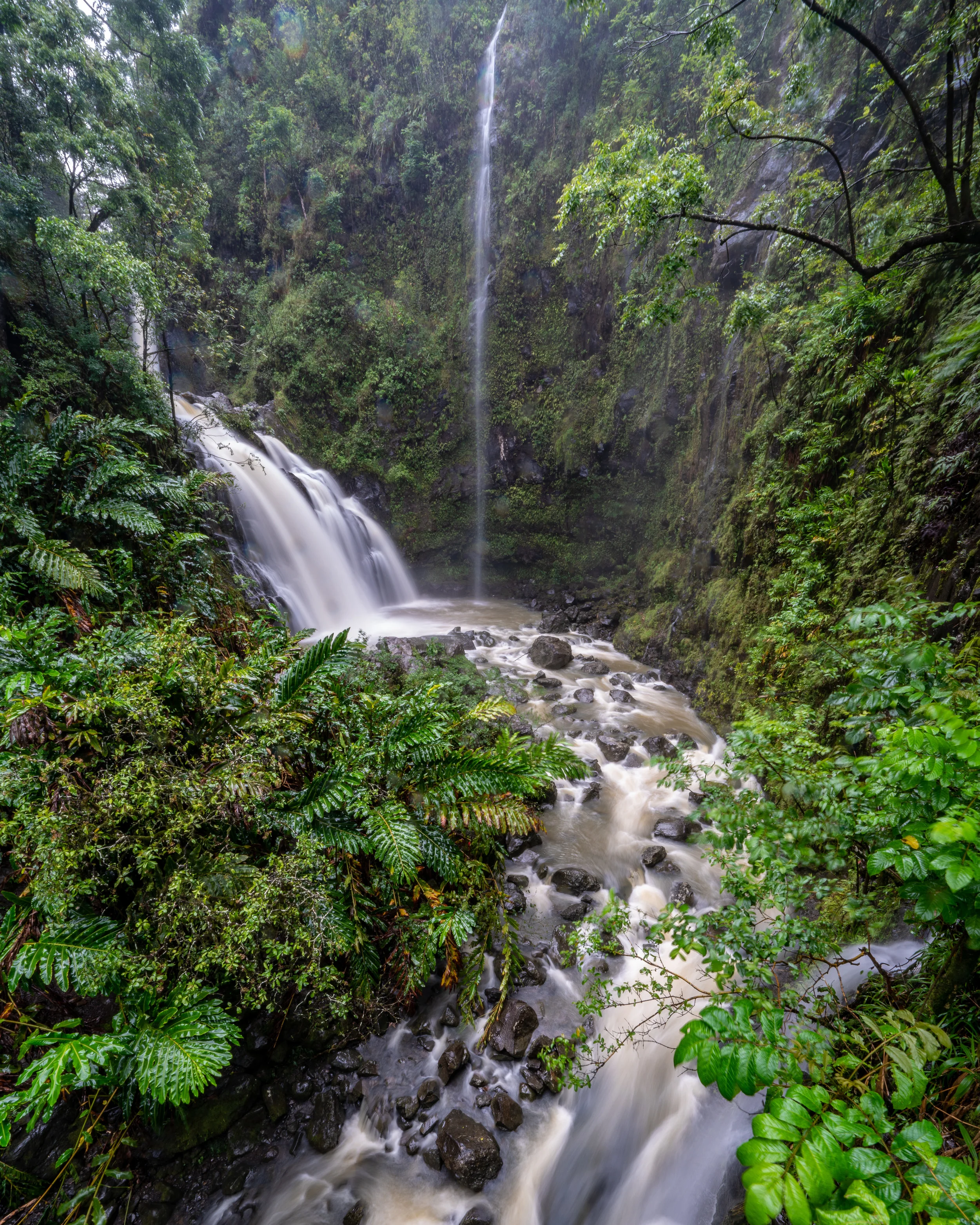 Jungle rain.